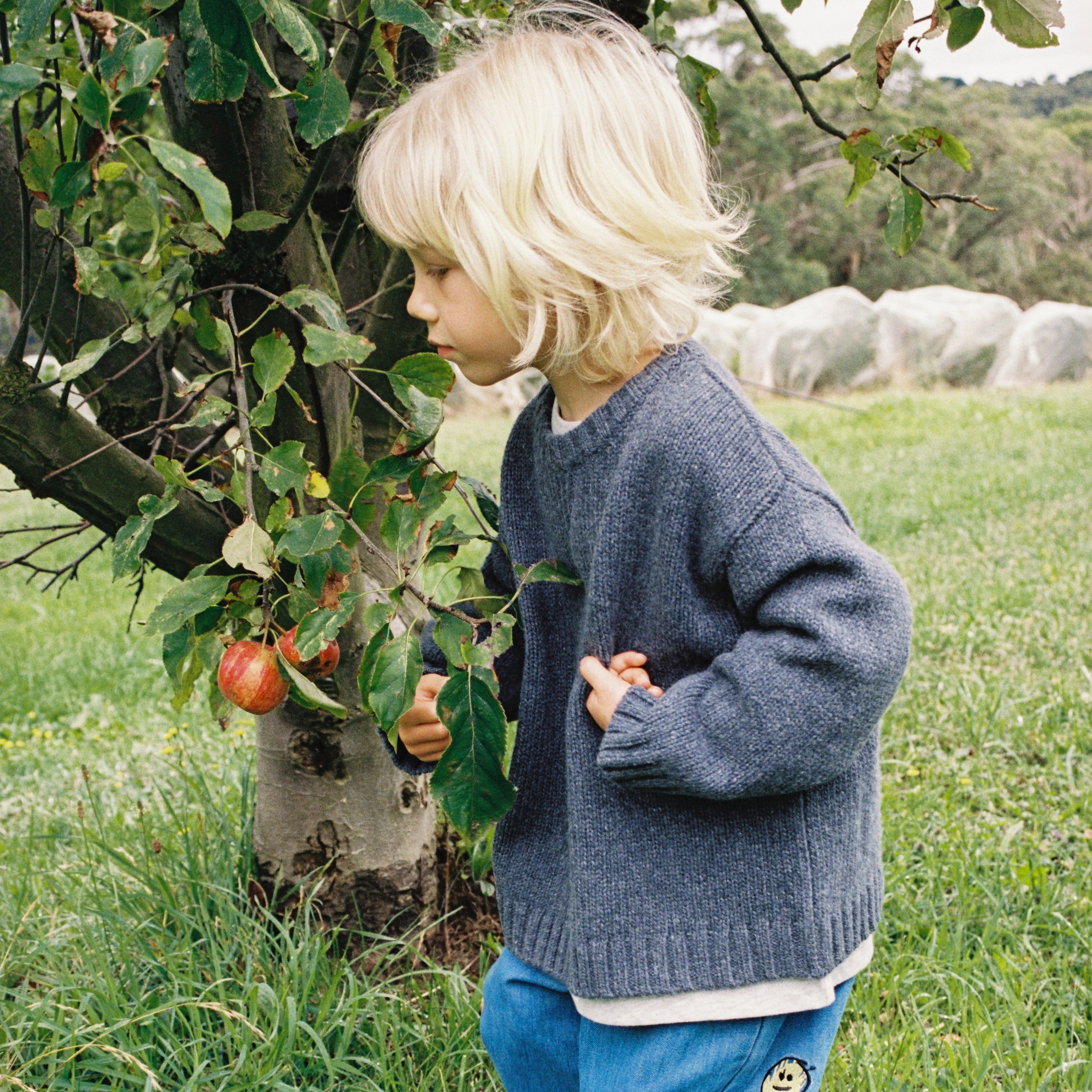 Grown kids merino pullover charcoal White Fox and Co NZ