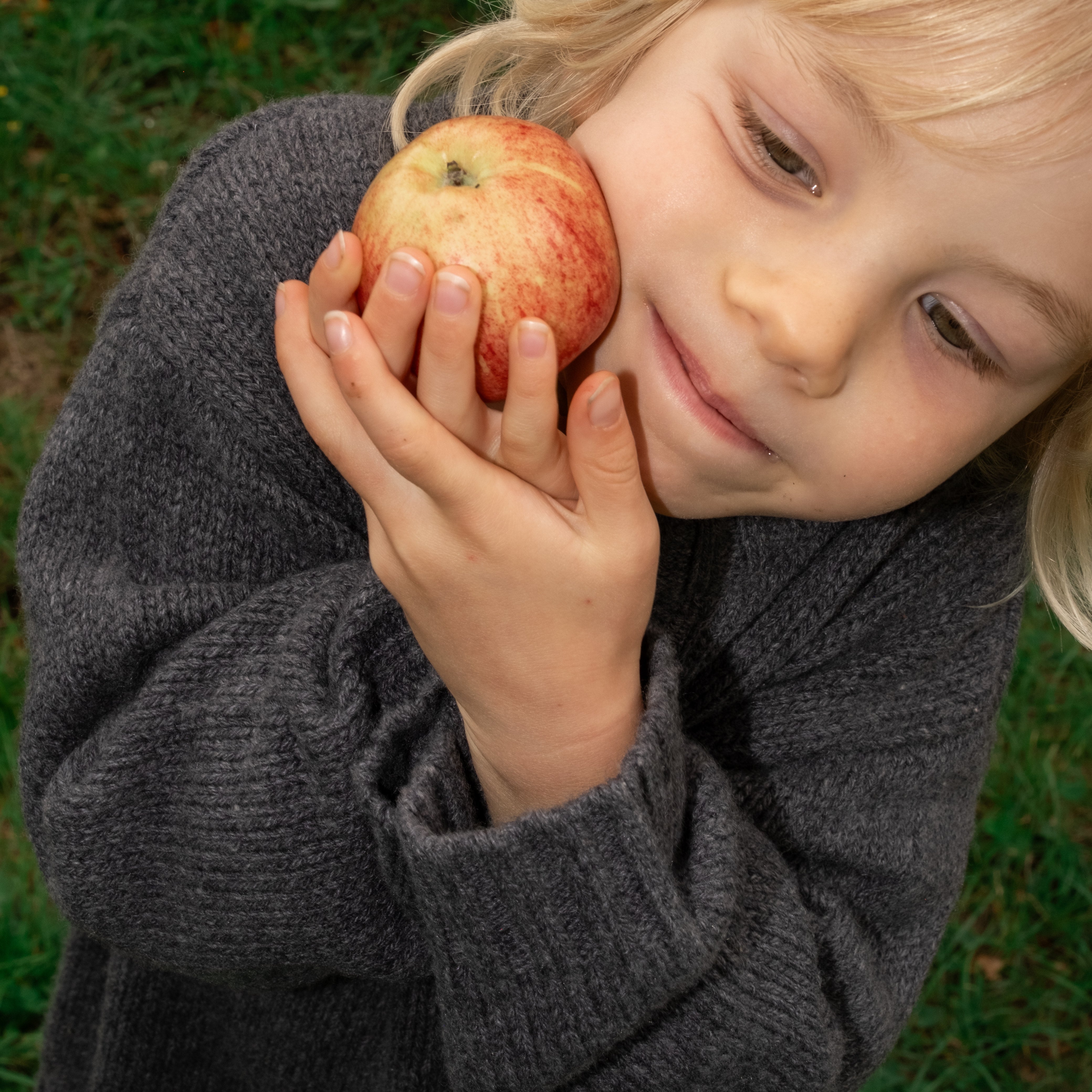 Grown kids merino pullover charcoal White Fox and Co NZ