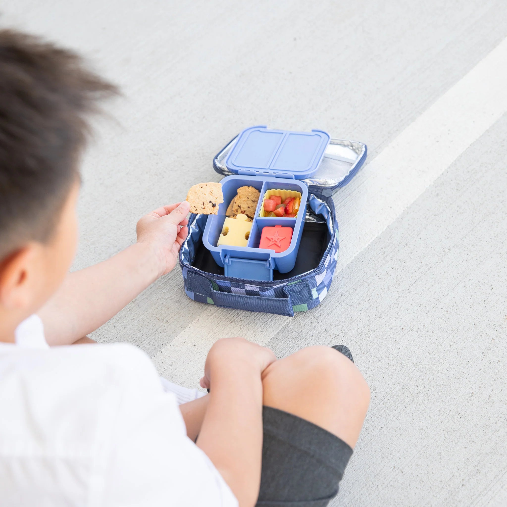 MontiiCo Bento Two lunchbox in Splash – open showing compartments
