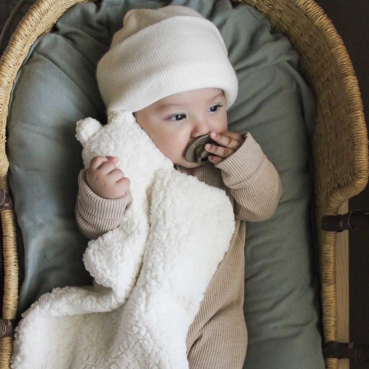 Basically Ben | Polar Teddy | White Fox & Co
