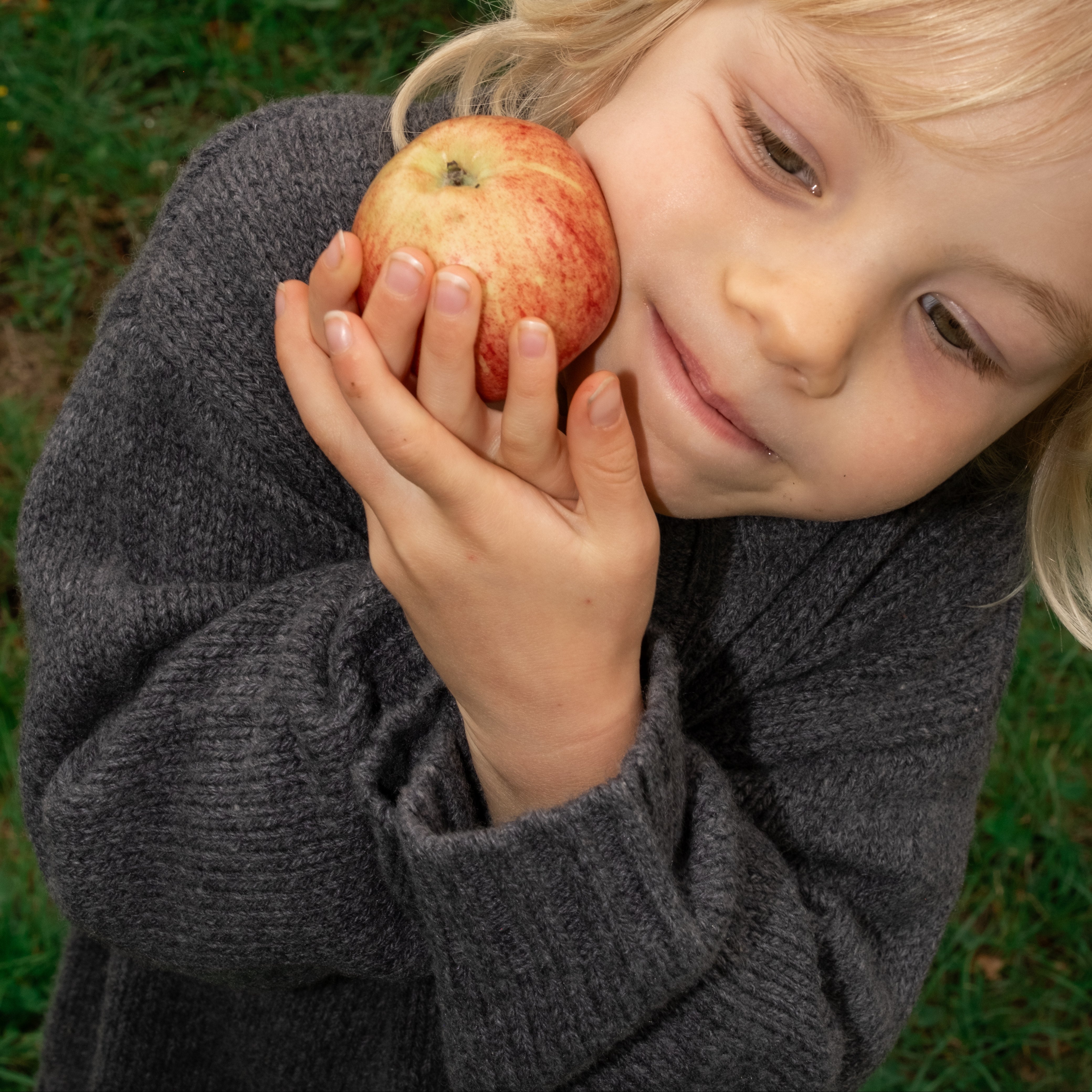 Grown kids merino pullover charcoal White Fox and Co NZ