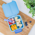 Inside view of MontiiCo Bento Two Coastal lunchbox showing leakproof compartments